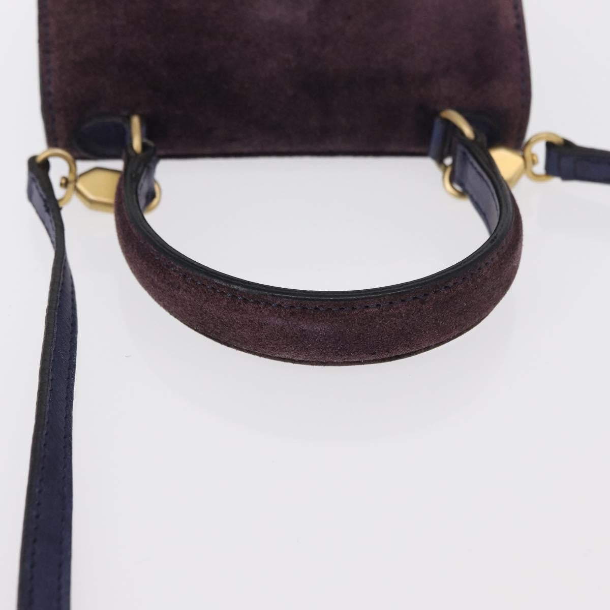 Celine Handbag Suede