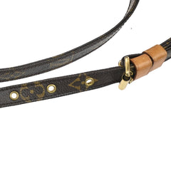 Louis Vuitton Amazone Bag Monogram Canvas