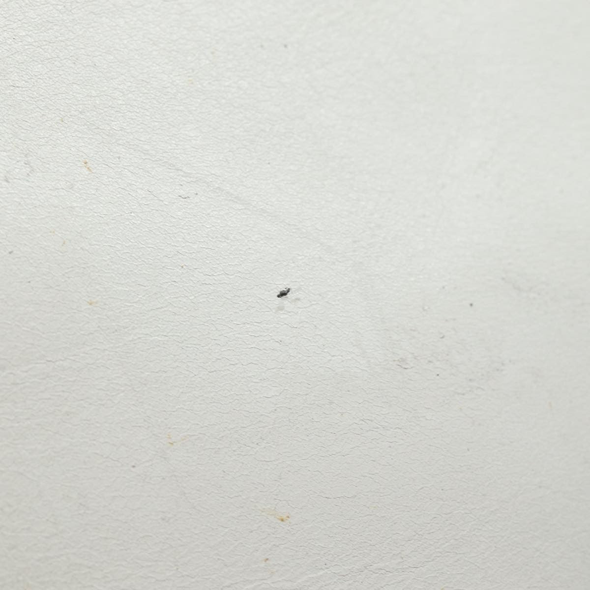 Celine Circle logo Leather