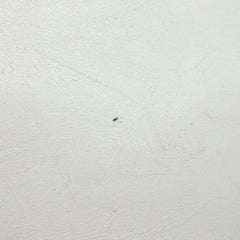 Celine Circle logo Leather