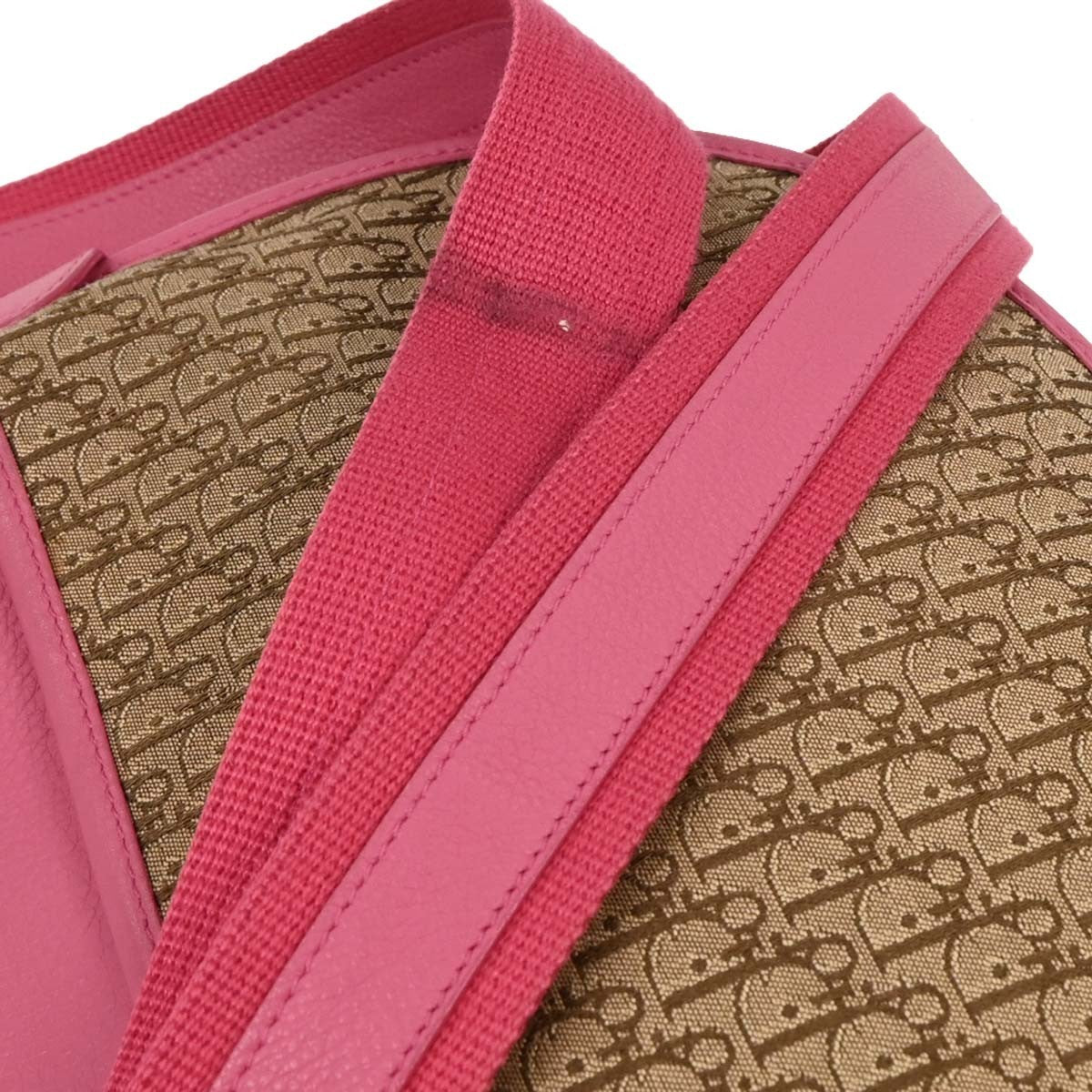 Christian Dior Trotter shoulder bag Canvas