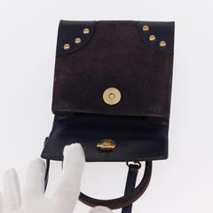 Celine Handbag Suede