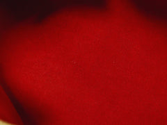 Louis Vuitton Trevi Handbag Damier