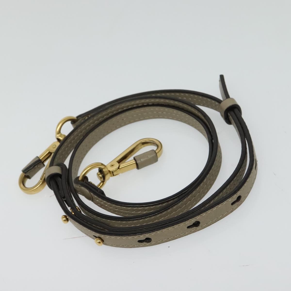 Chloe Nile Crossbody Bag Leather