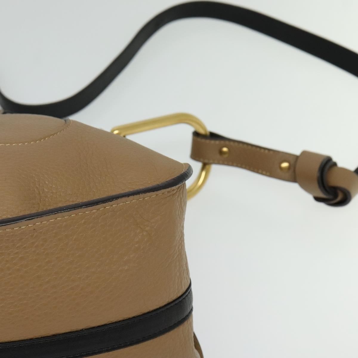 Chloe Hailey Bag Leather