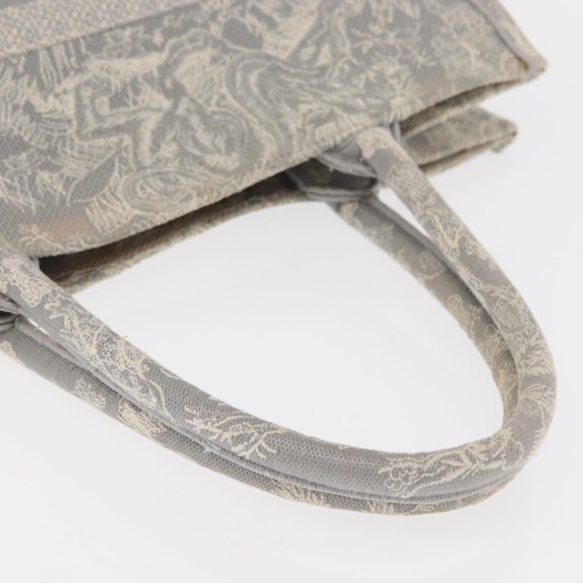 Christian Dior Book Tote Printed Canvas