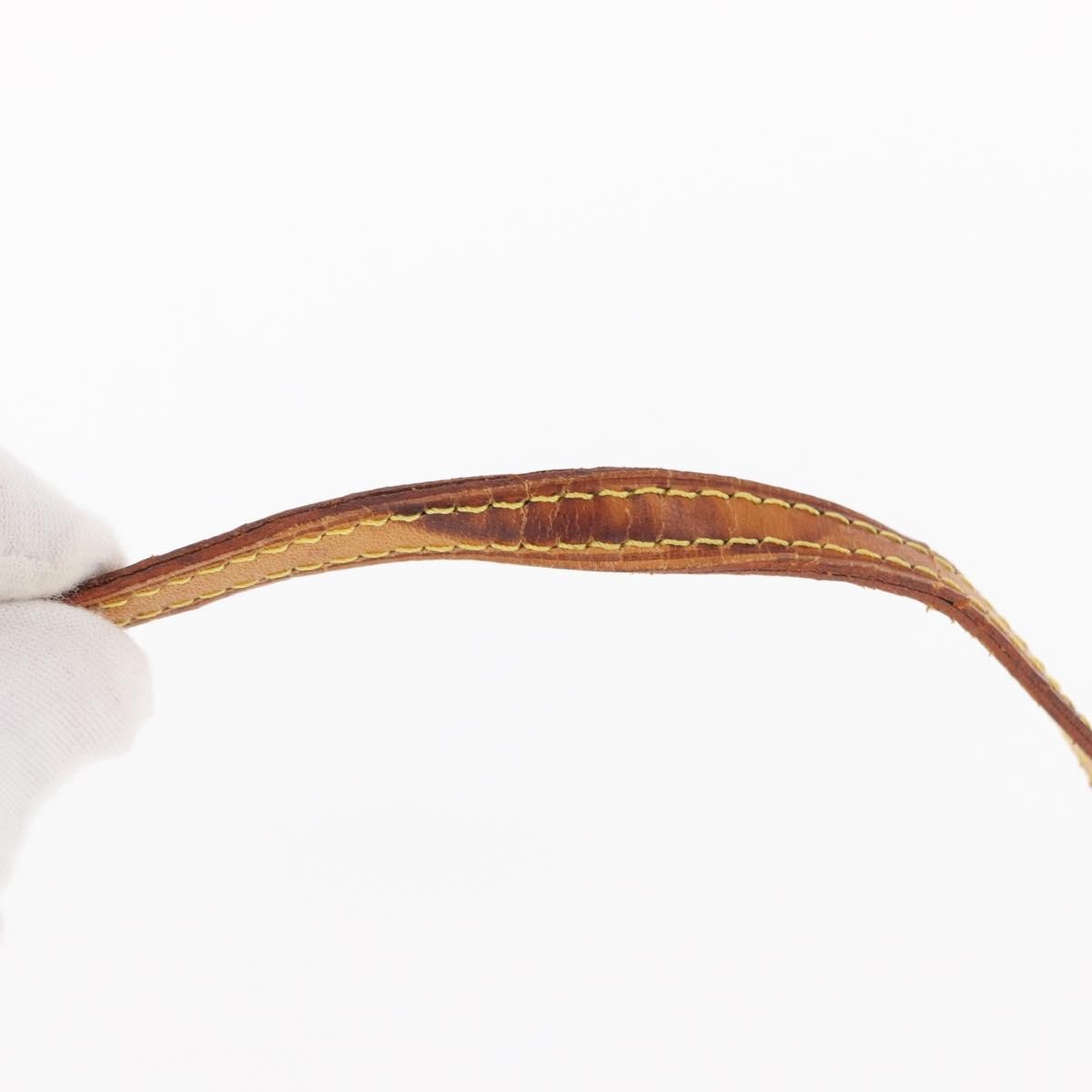 Louis Vuitton Twin Handbag Monogram Canvas