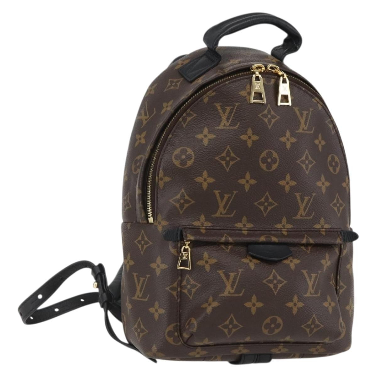 Louis Vuitton Palm Springs Backpack Monogram Canvas