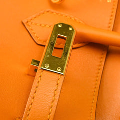 Hermes Birkin Handbag Orange Togo with Palladium Hardware