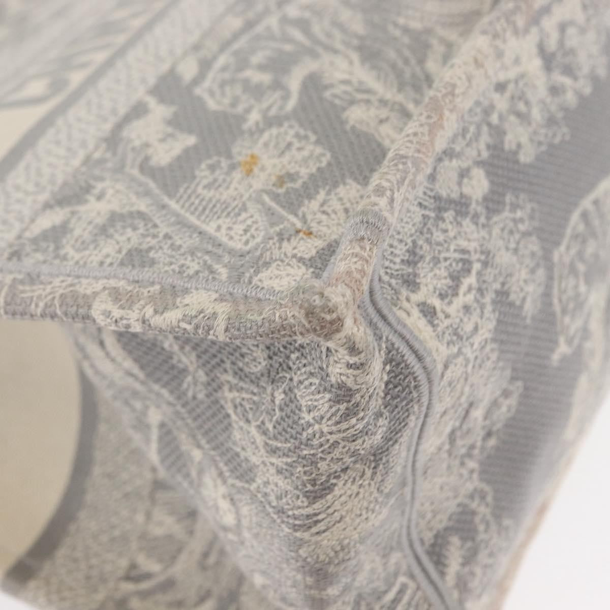 Christian Dior Book Tote Printed Canvas