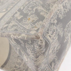 Christian Dior Book Tote Printed Canvas