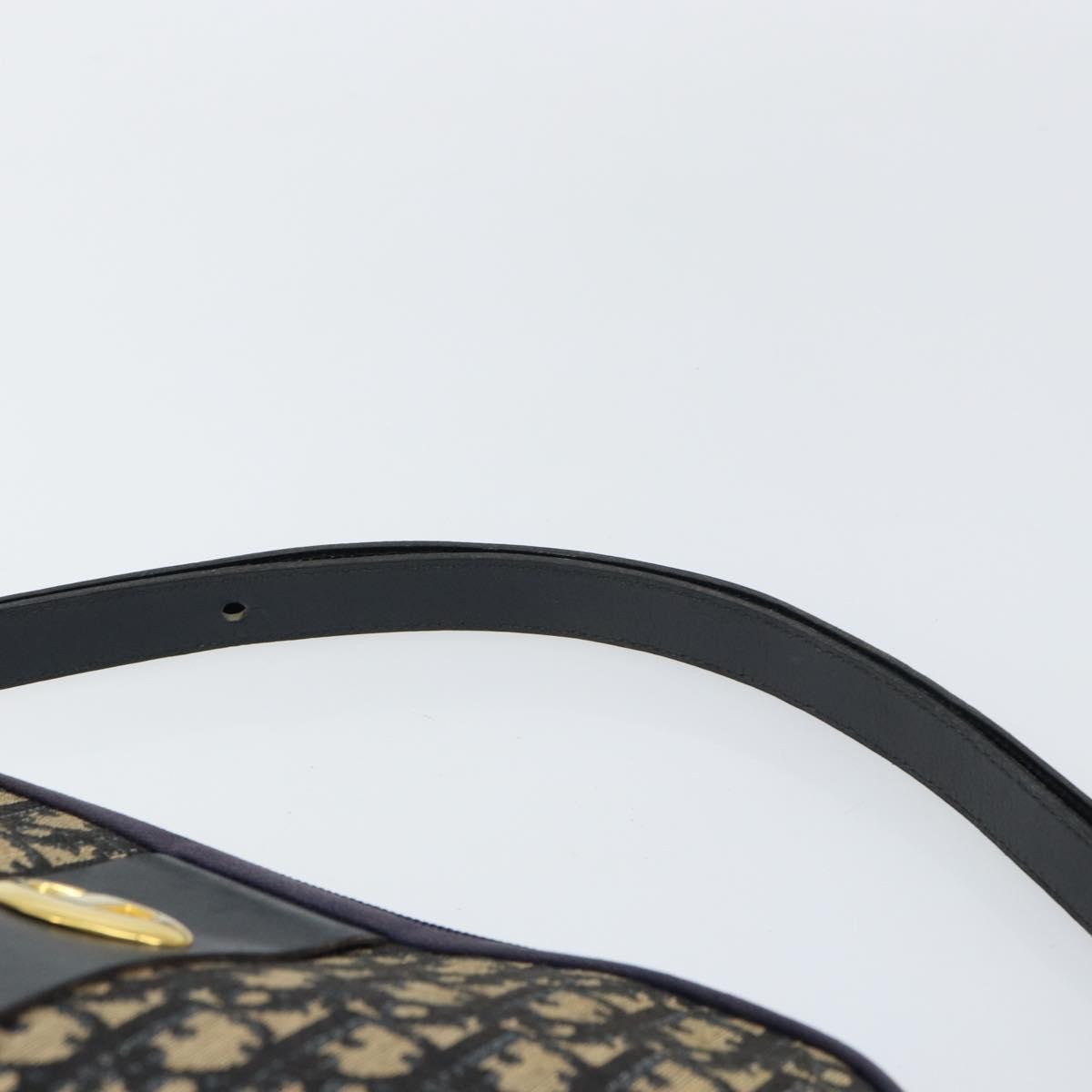 Christian Dior Vintage CD Trotter Handbag Canvas