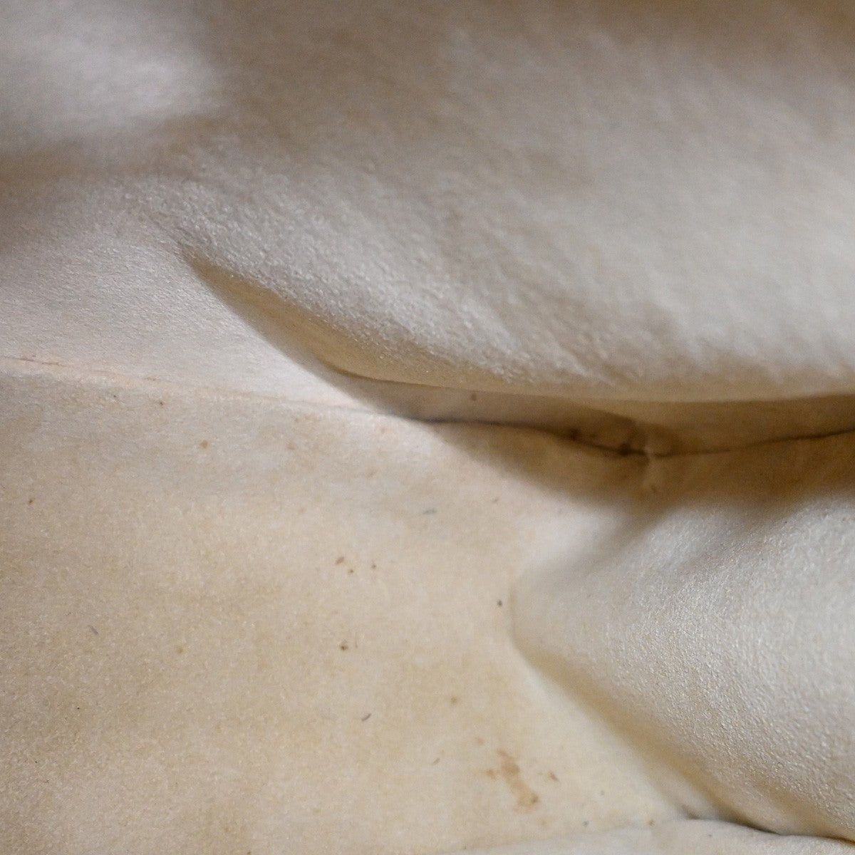 Louis Vuitton Looping Handbag Monogram Canvas