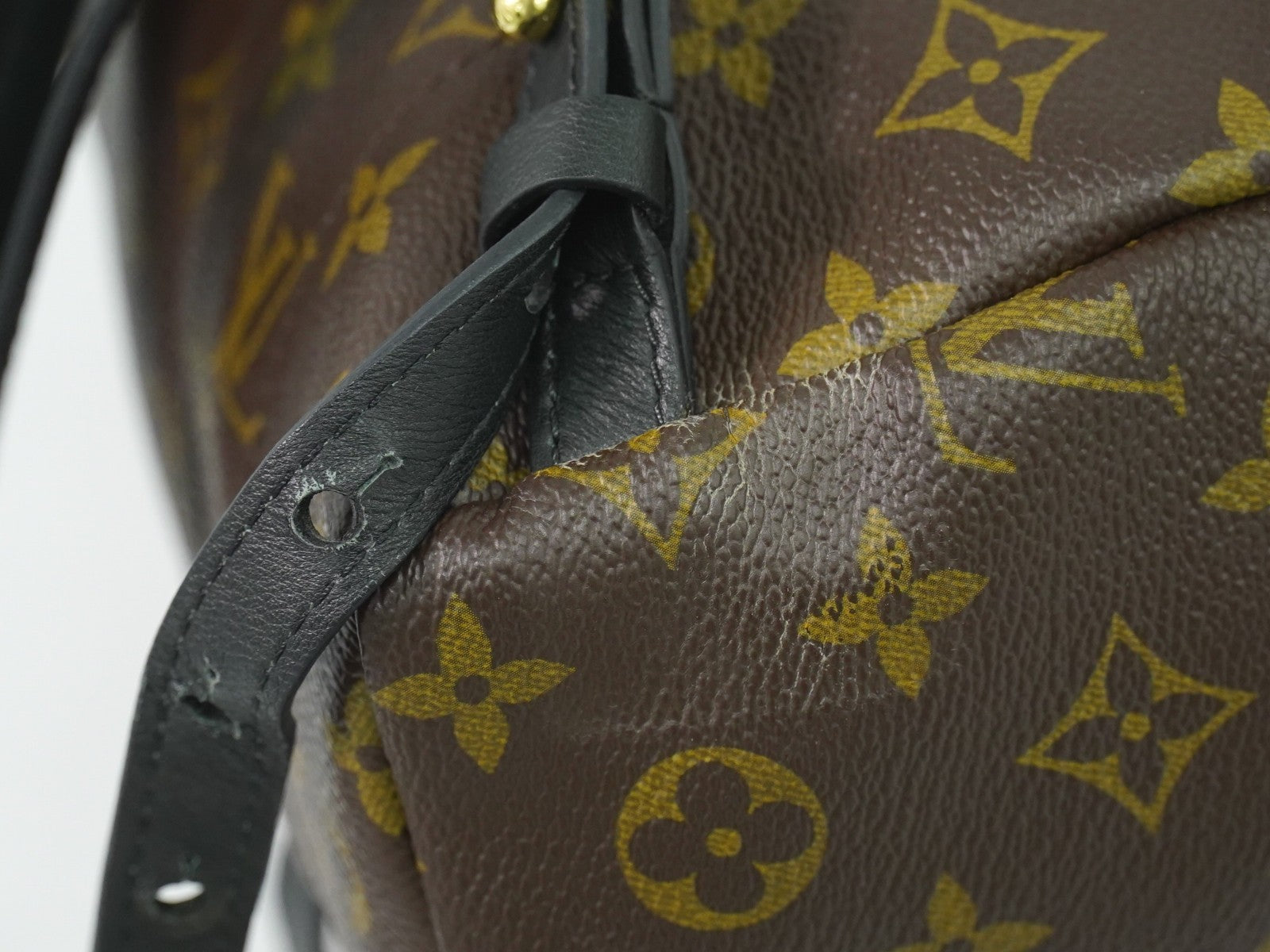 Louis Vuitton Palm Springs Backpack Monogram Canvas