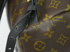 Louis Vuitton Palm Springs Backpack Monogram Canvas