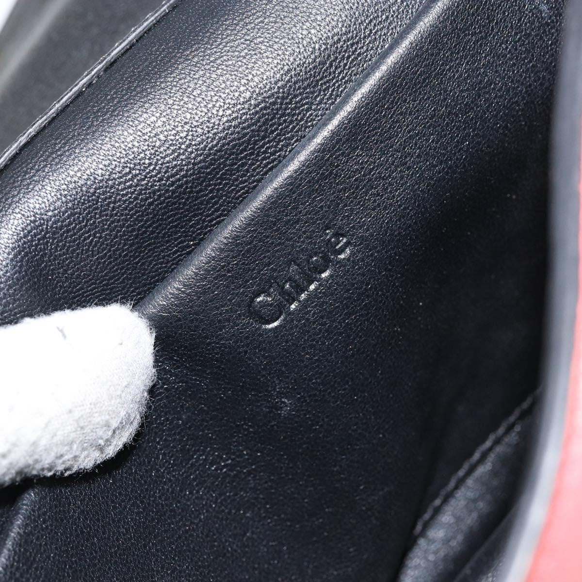 Chloe Elsie Chain Shoulder Bag Leather