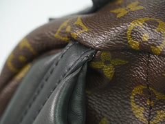 Louis Vuitton Palm Springs Backpack Monogram Canvas