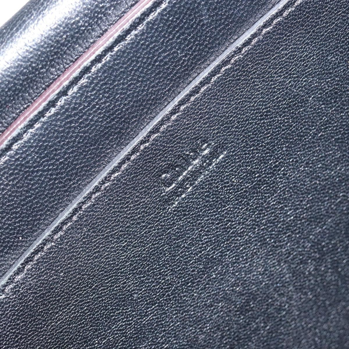 Chloe Elle Chain Clutch Leather