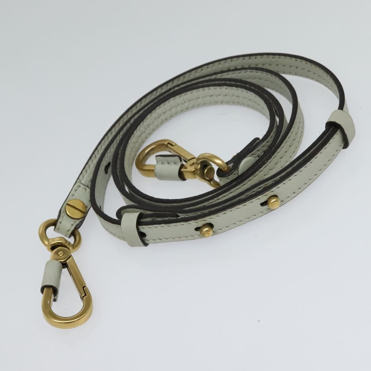 Chloe Nile Crossbody Bag Leather