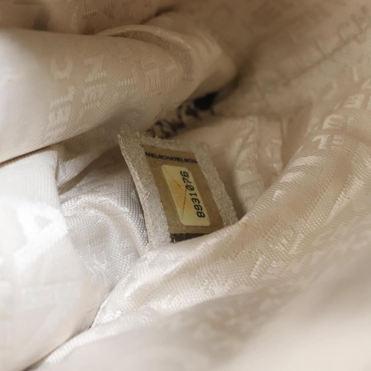 Chanel Accordion Push Lock Flap Bag Quilted Caviar