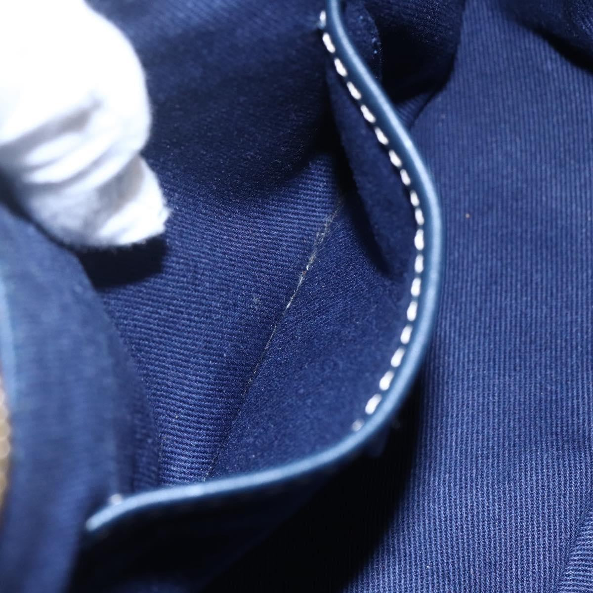 Celine Ava Bag Triomphe Canvas