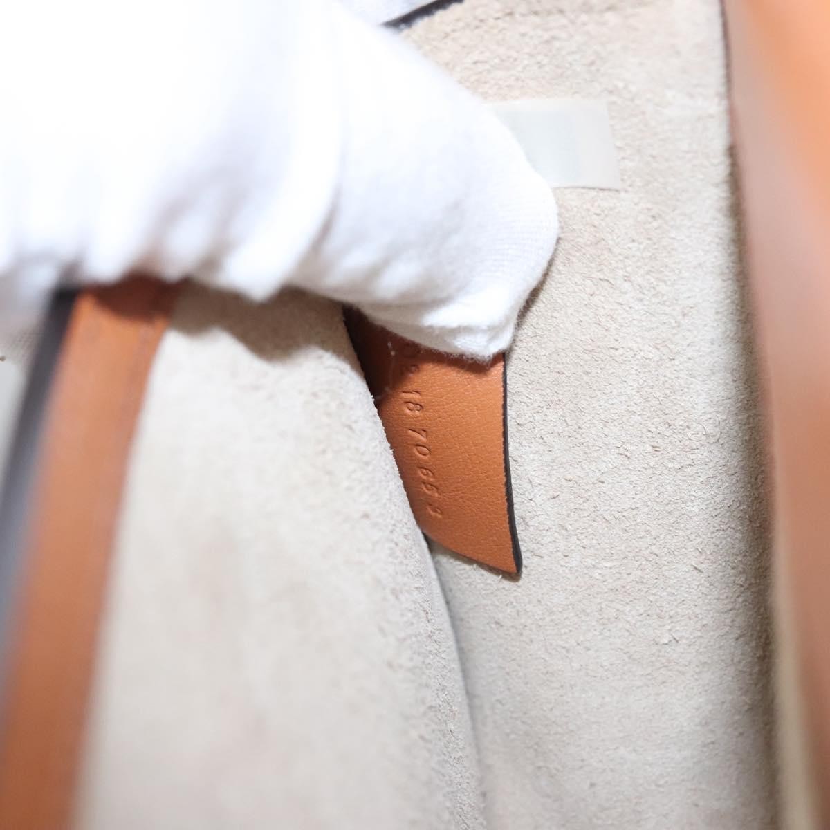 Chloe Nile Crossbody Bag Mirror Leather