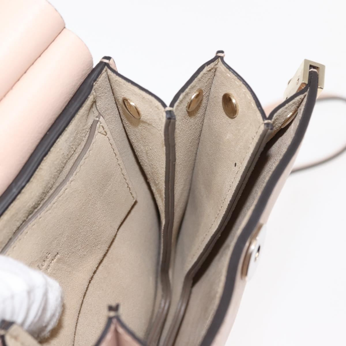 Chloe Faye Bracelet Crossbody Bag Leather and Suede