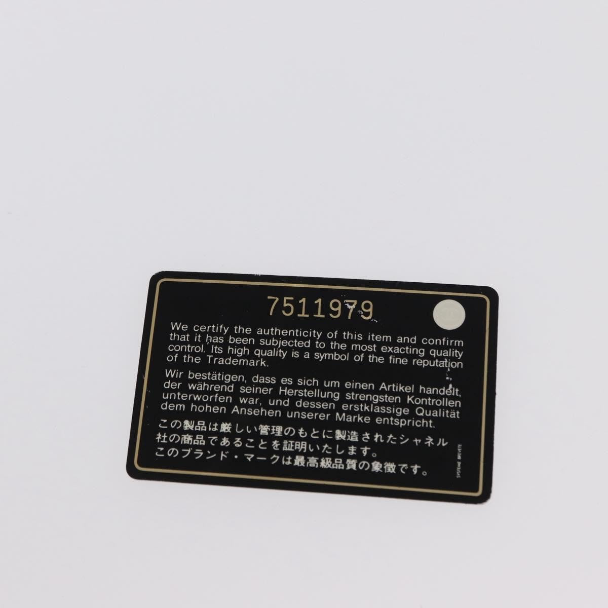 Chanel 31 Rue Cambon Beach Zip Tote Printed Canvas