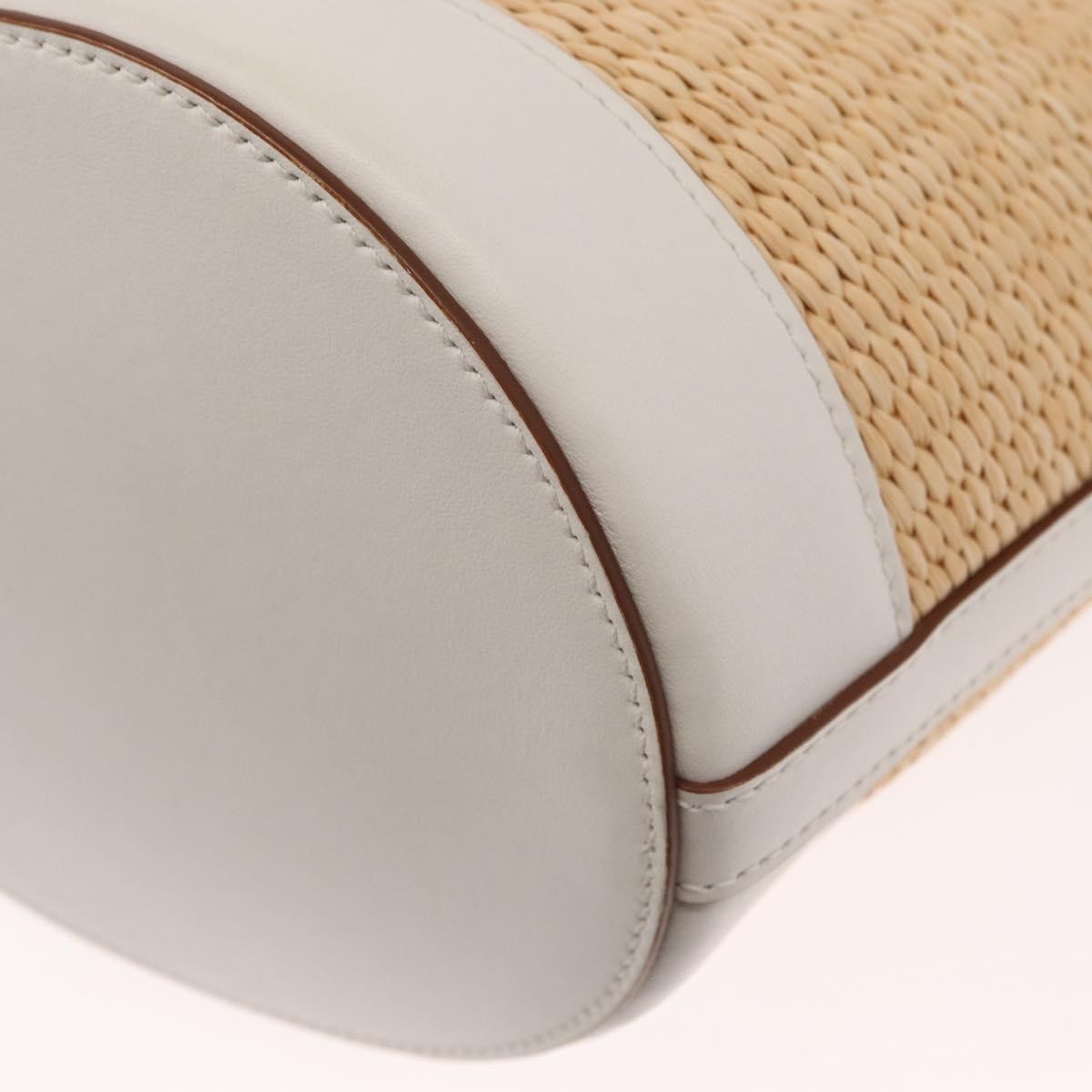 Prada Bucket Bag Woven Raffia with Leather