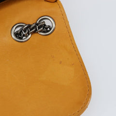 Chanel Chain Flap Bag Quilted Leather