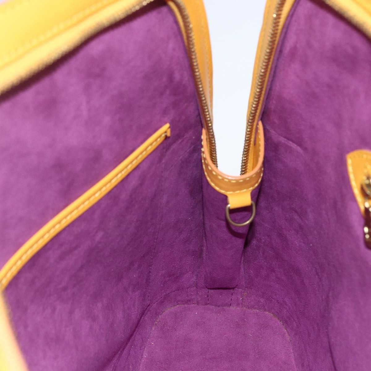 Louis Vuitton Lussac Handbag Epi Leather