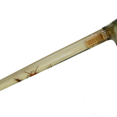 Gucci Eyewear Interlocking G Sunglasses