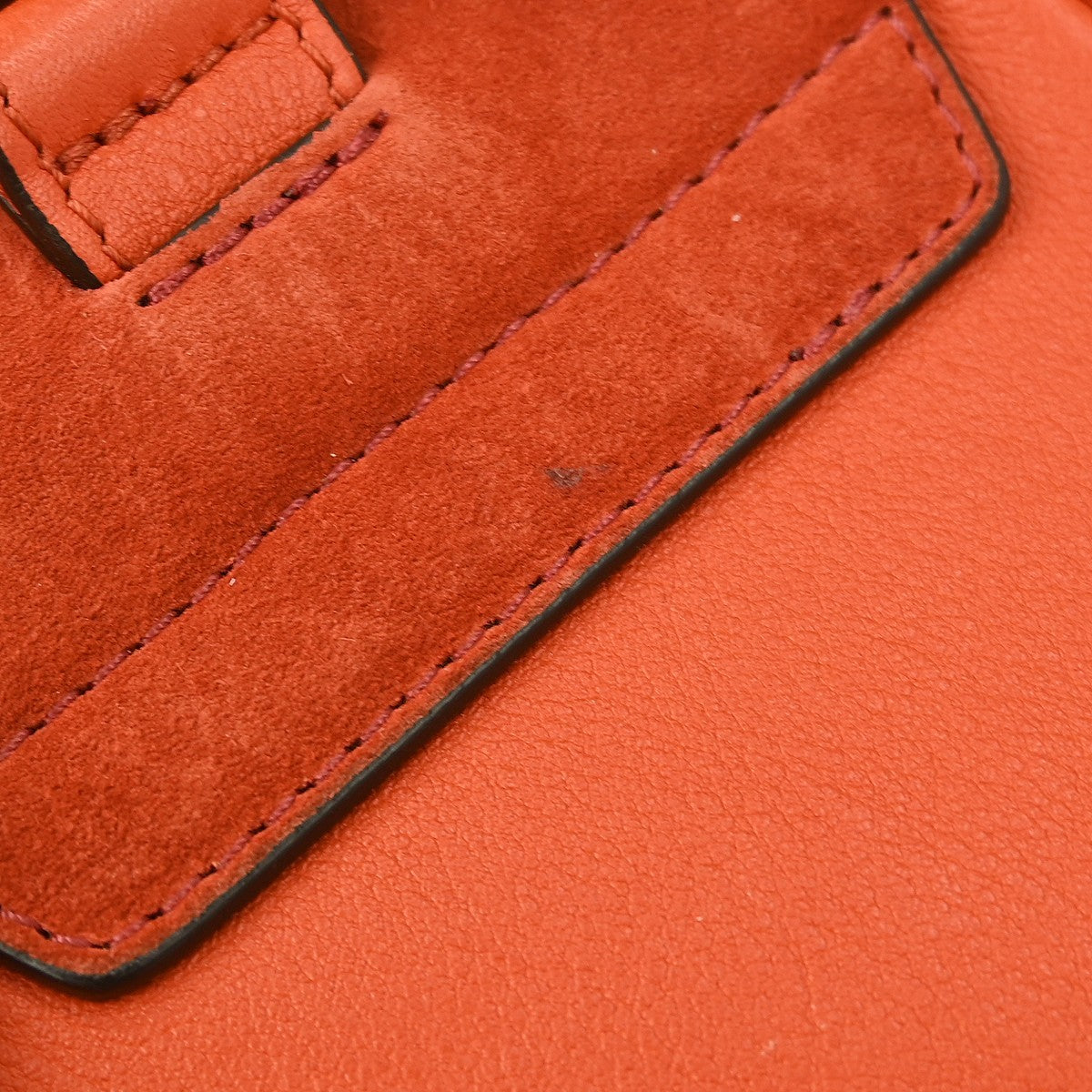 Chloe Faye Backpack Leather and Suede