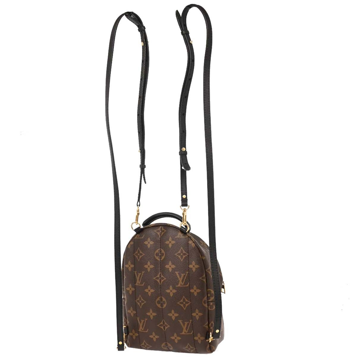 Louis Vuitton Palm Springs Backpack Monogram Canvas