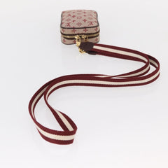 Louis Vuitton Camera Bag Mini Lin