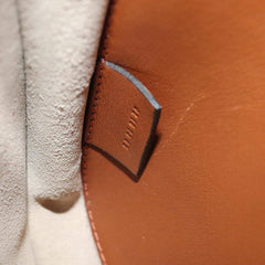 Chloe Multicolor Fringe Hudson Bag Leather