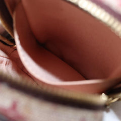 Louis Vuitton Camera Bag Mini Lin