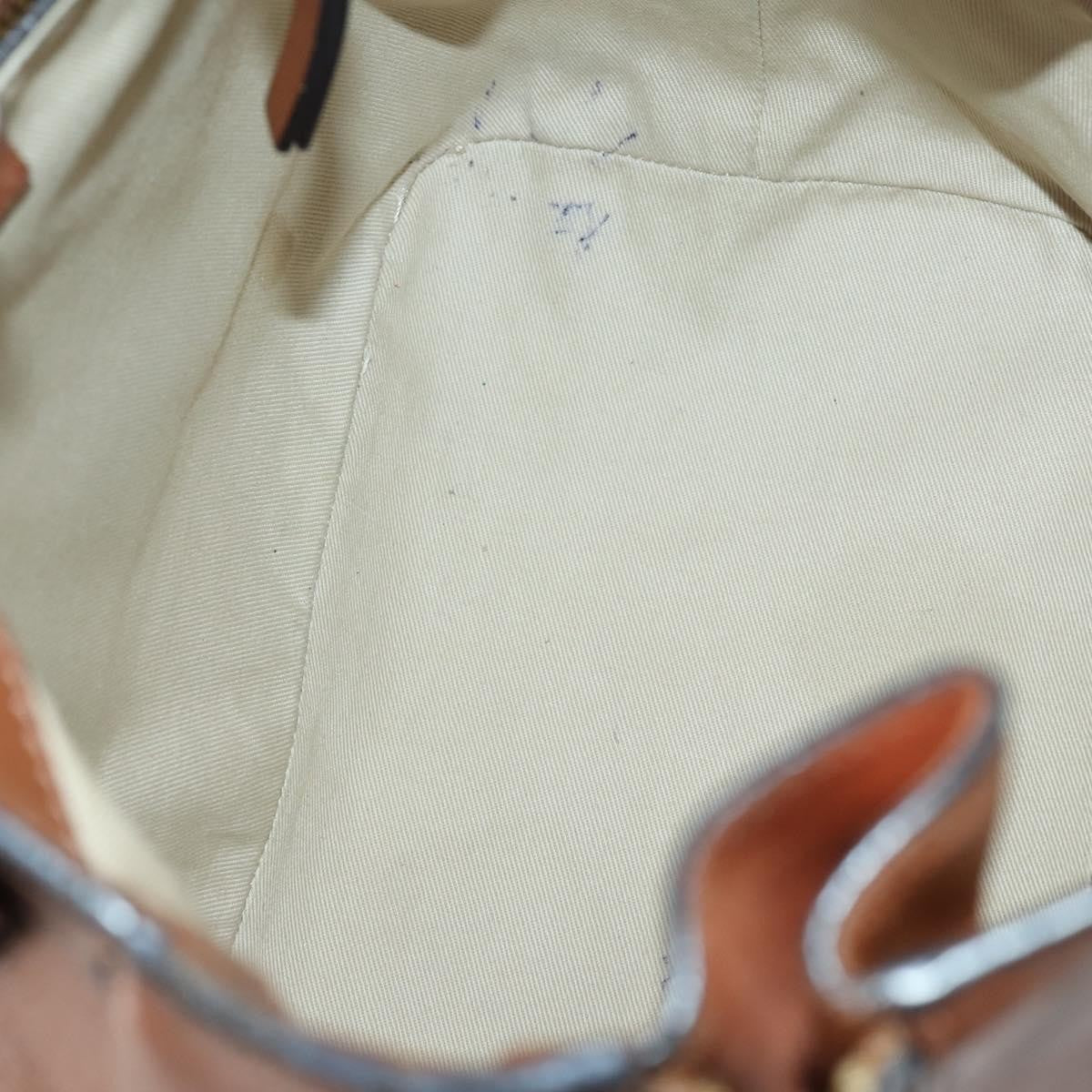 Chloe Faye Backpack Leather and Suede