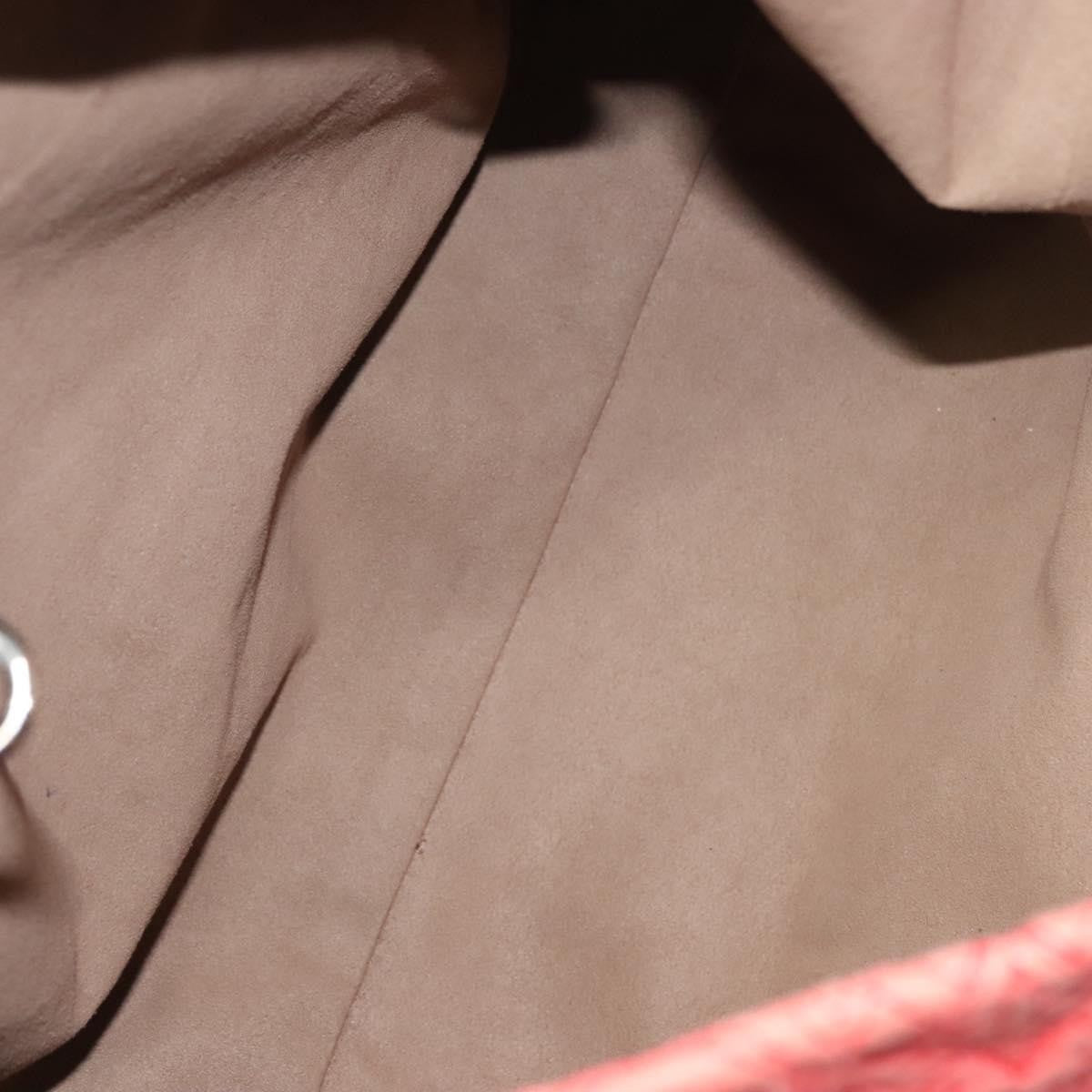 Louis Vuitton Antheia Hobo Leather