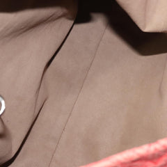 Louis Vuitton Antheia Hobo Leather