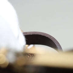 Louis Vuitton Etui Okapi Camera Case Damier