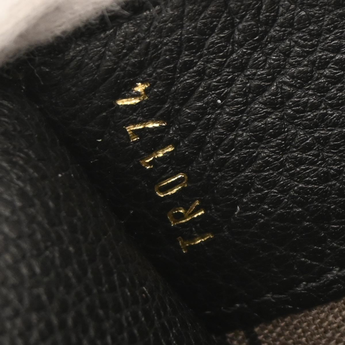 Louis Vuitton Fascinante Handbag Monogram Empreinte Leather