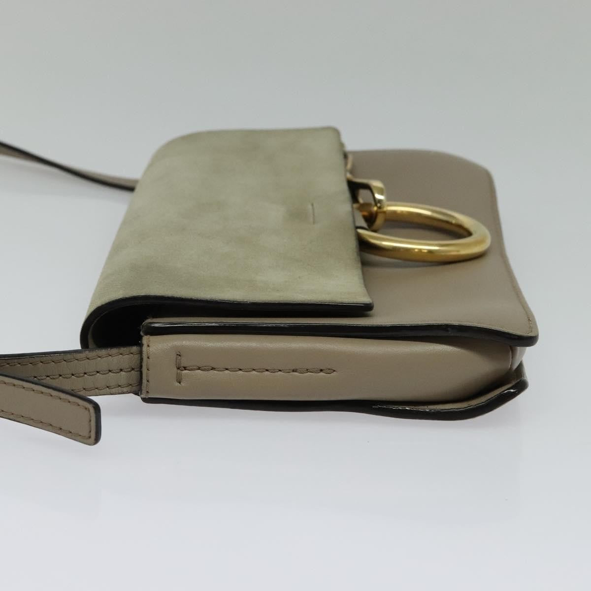 Chloe Faye Crossbody Leather and Suede