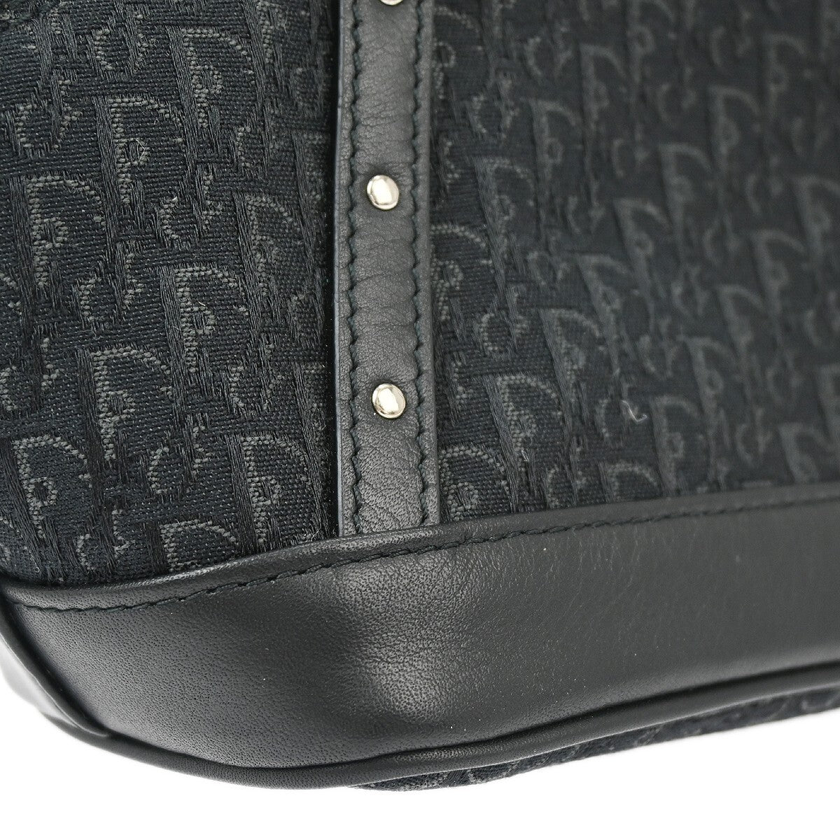 Christian Dior Street Chic Handbag Diorissimo Canvas with Leather