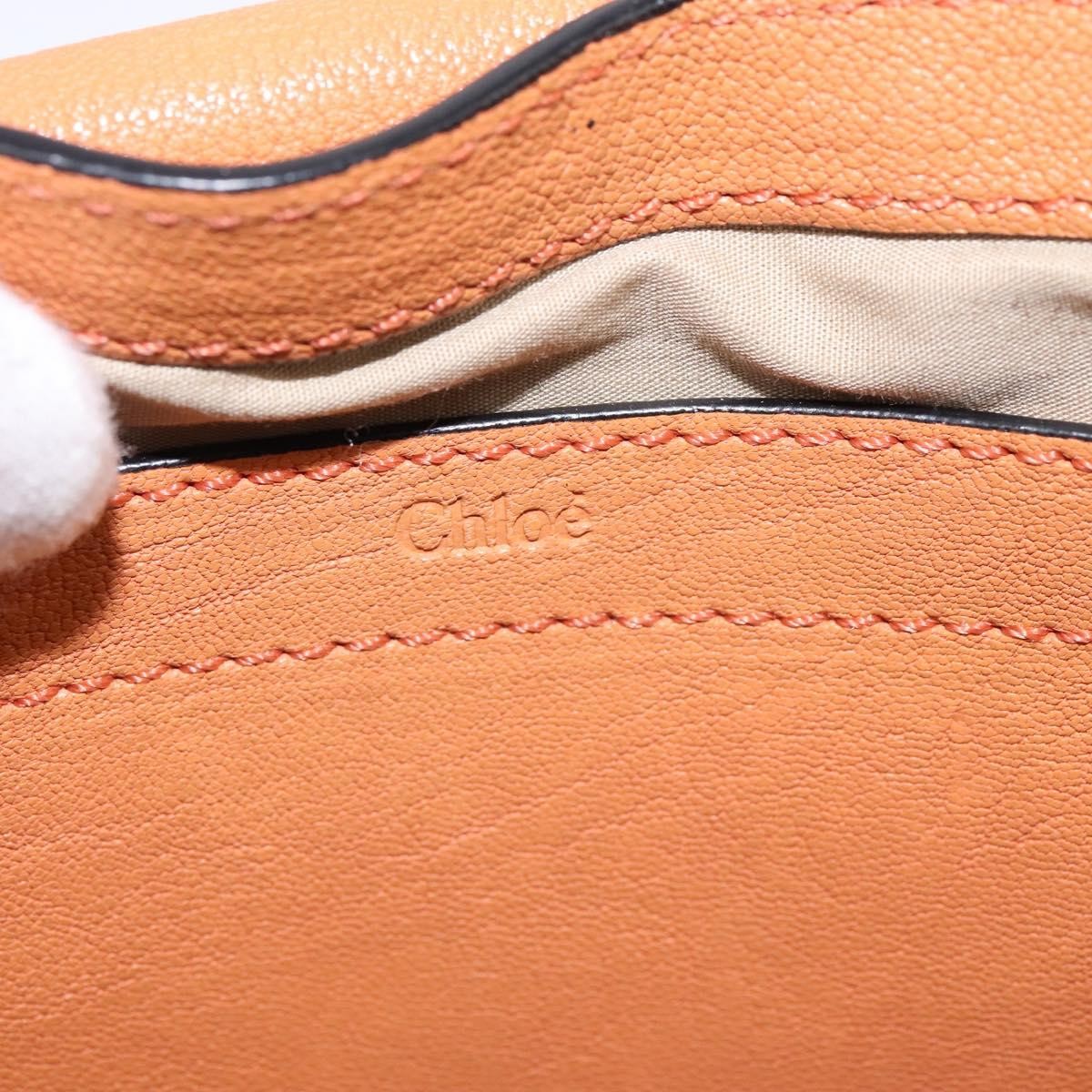 Chloe Elsie Crossbody Bag Leather