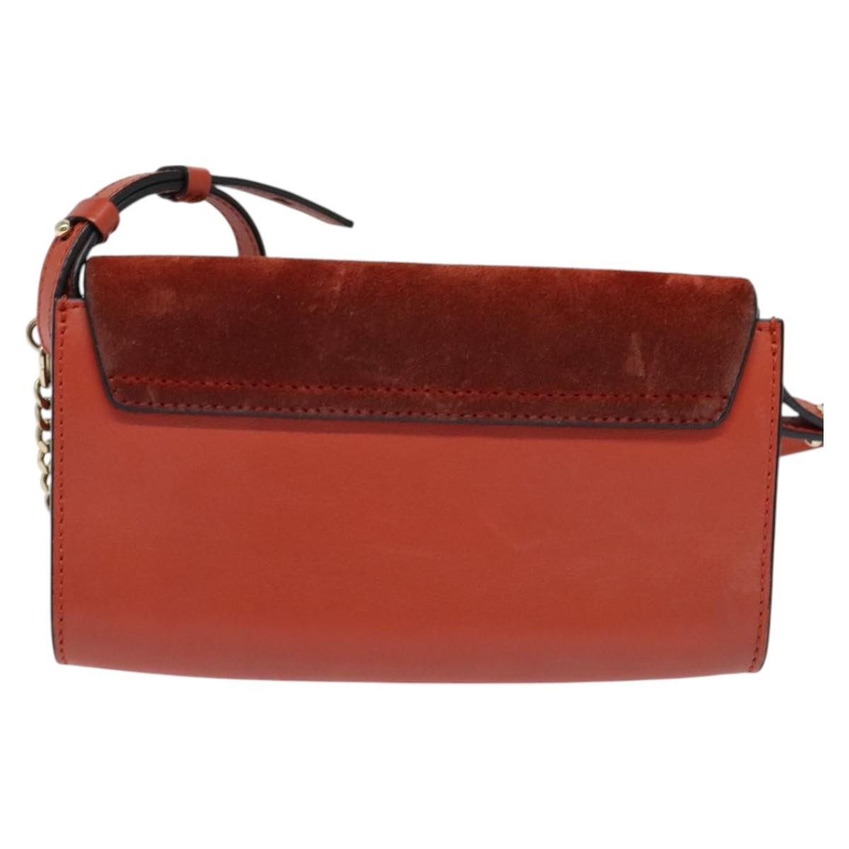 Chloe Faye Crossbody Leather and Suede