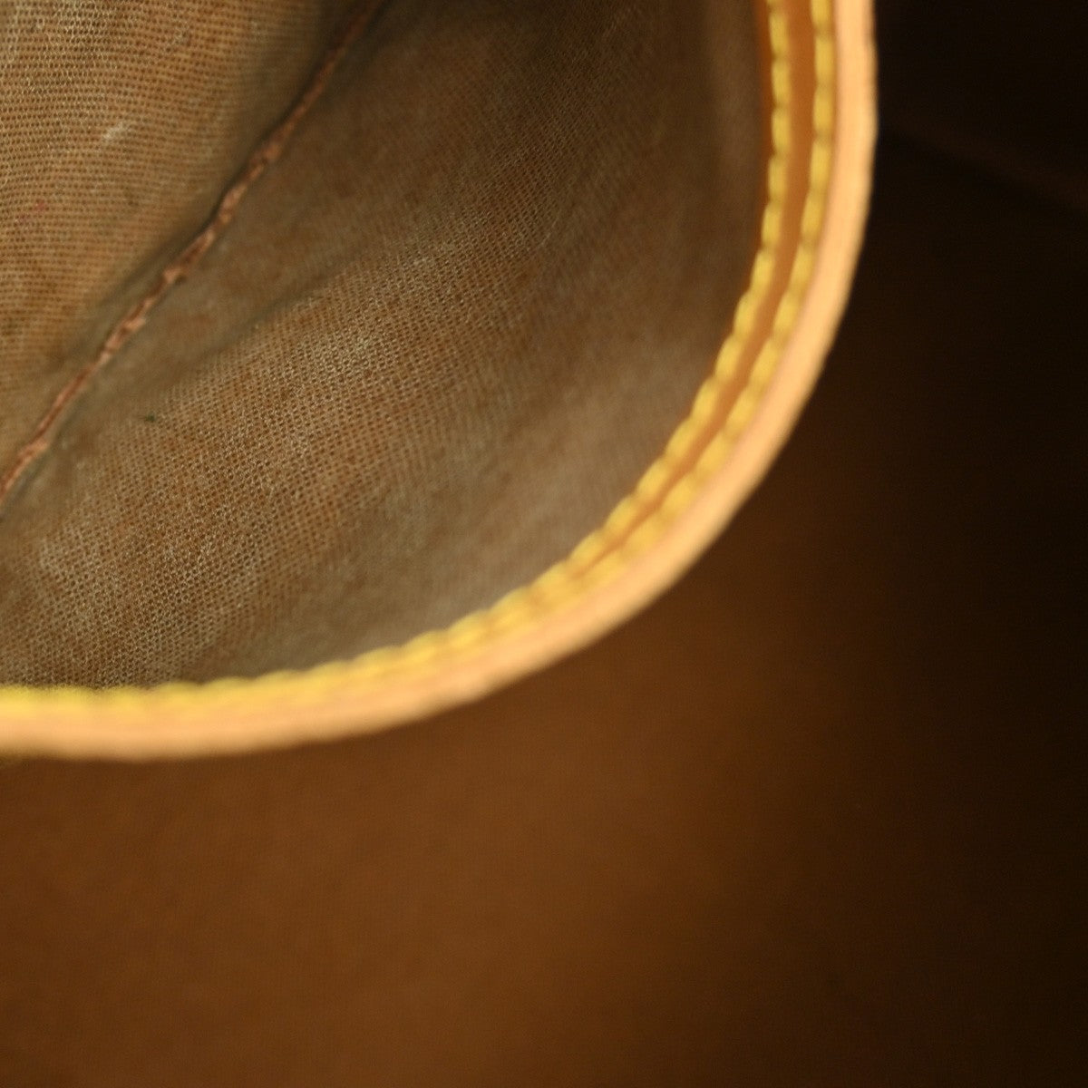 Louis Vuitton Speedy Handbag Monogram Canvas