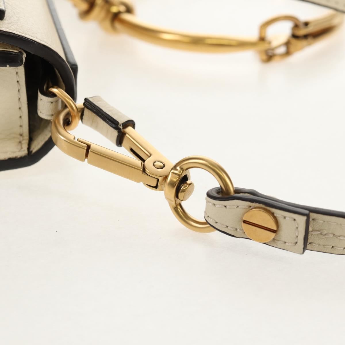 Chloe Nile Minaudière Leather