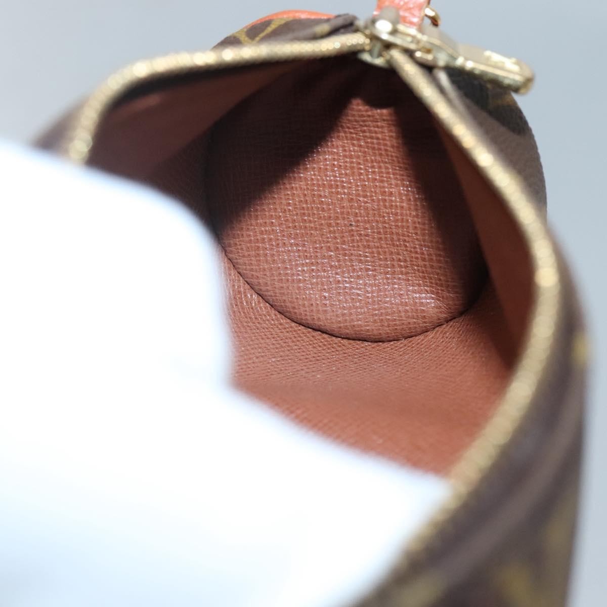 Louis Vuitton Papillon Pochette Monogram Canvas