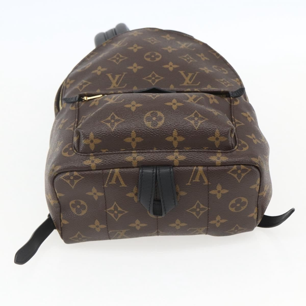 Louis Vuitton Palm Springs Backpack Monogram Canvas